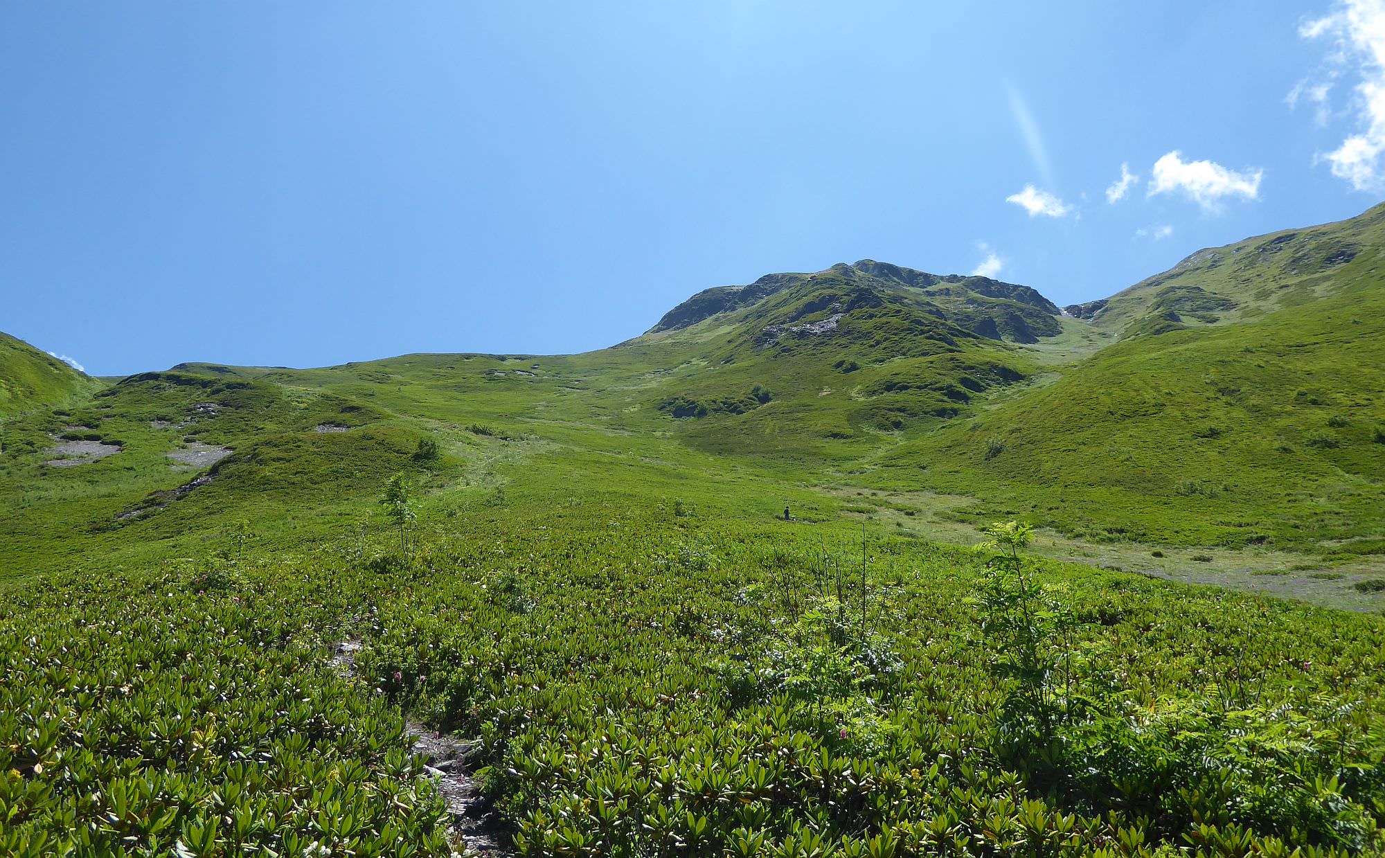Climb to the Svaneti ridge