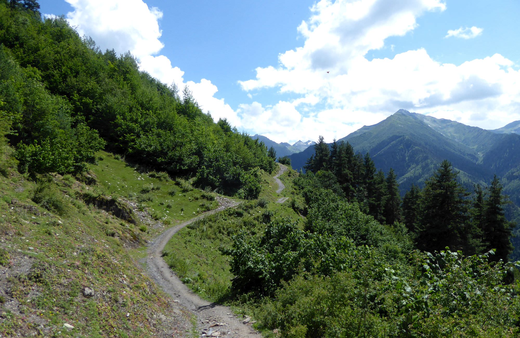 Trail in the Enguri valley