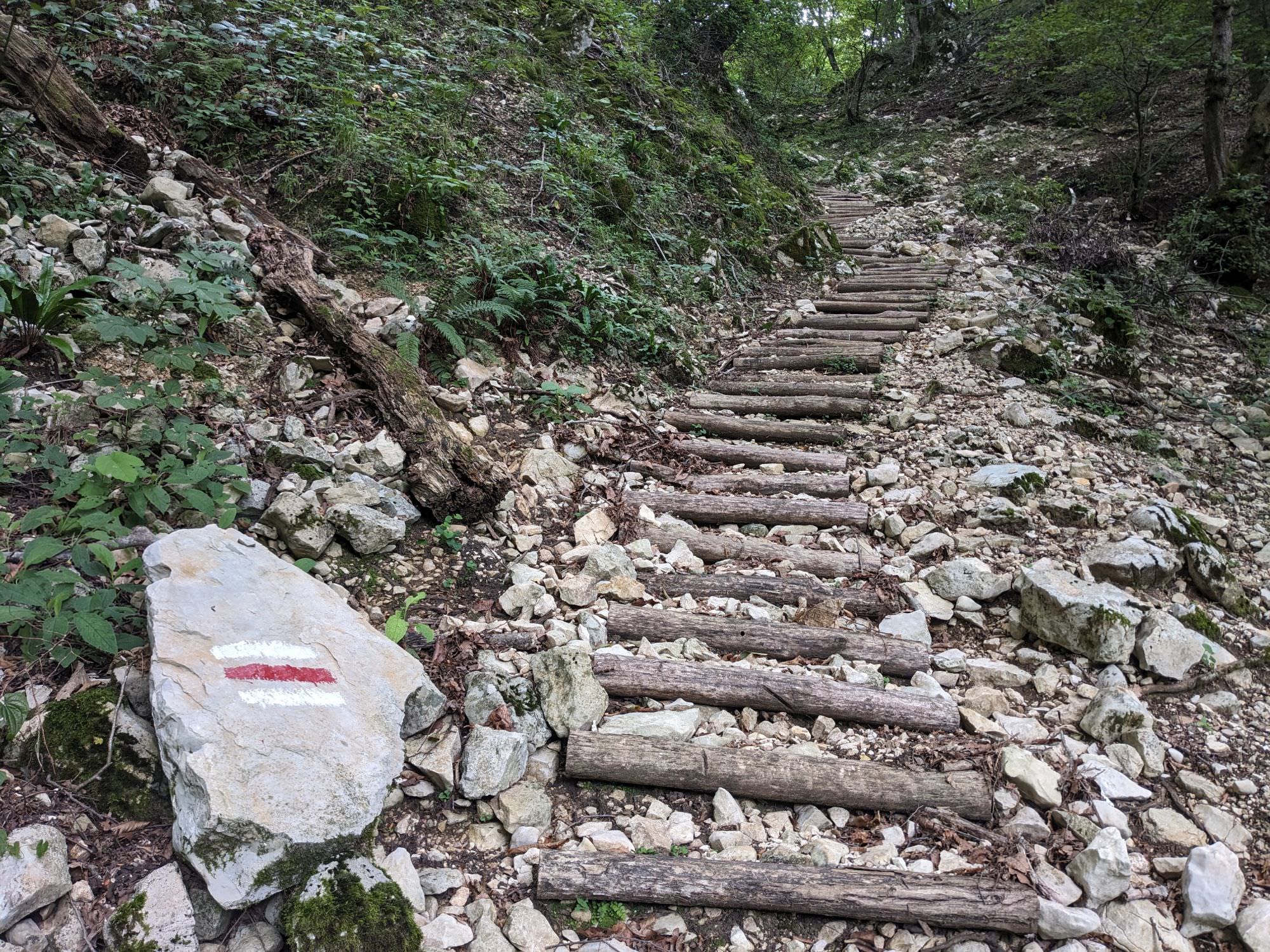 Wooden steps