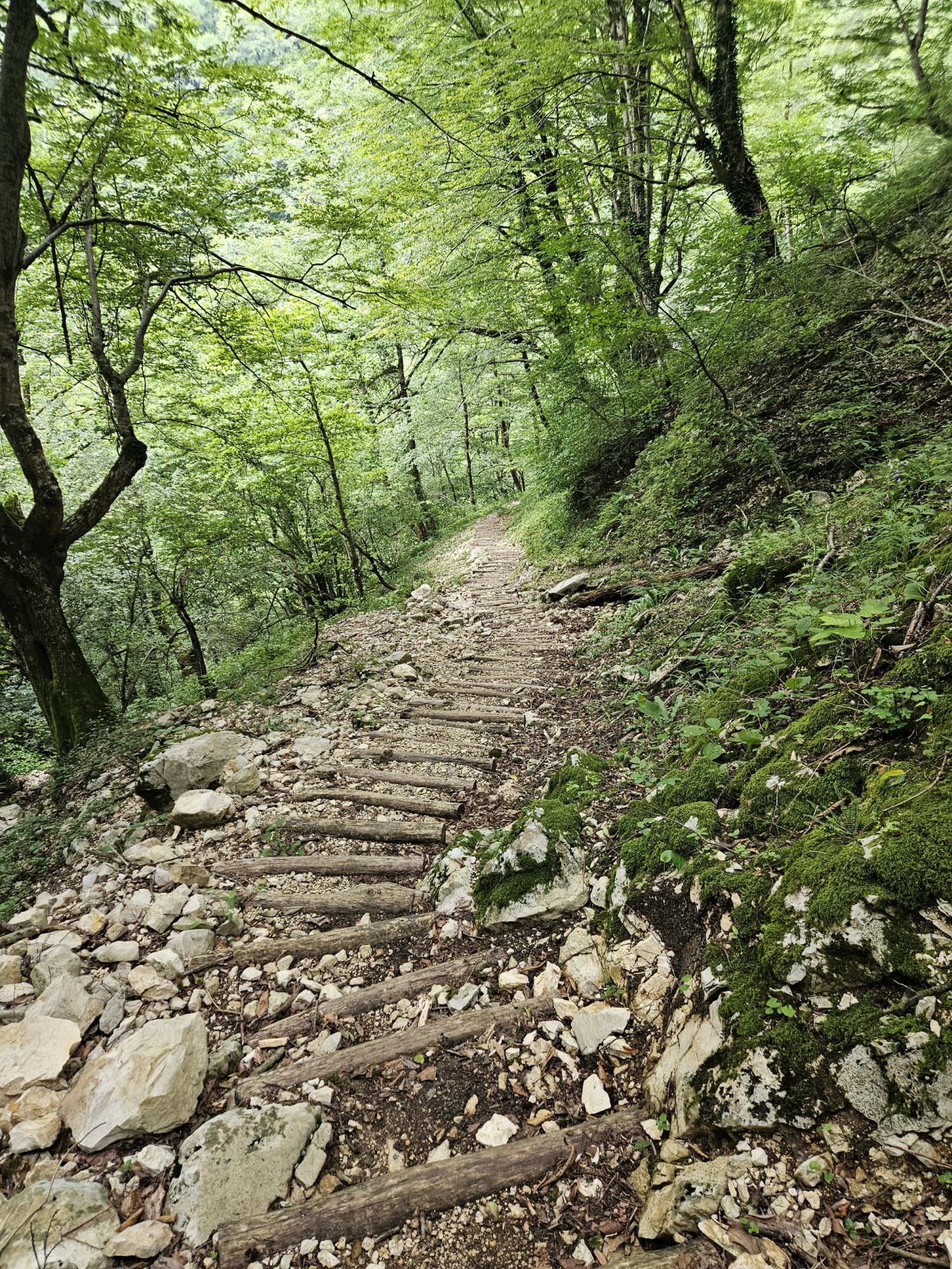 More wooden steps