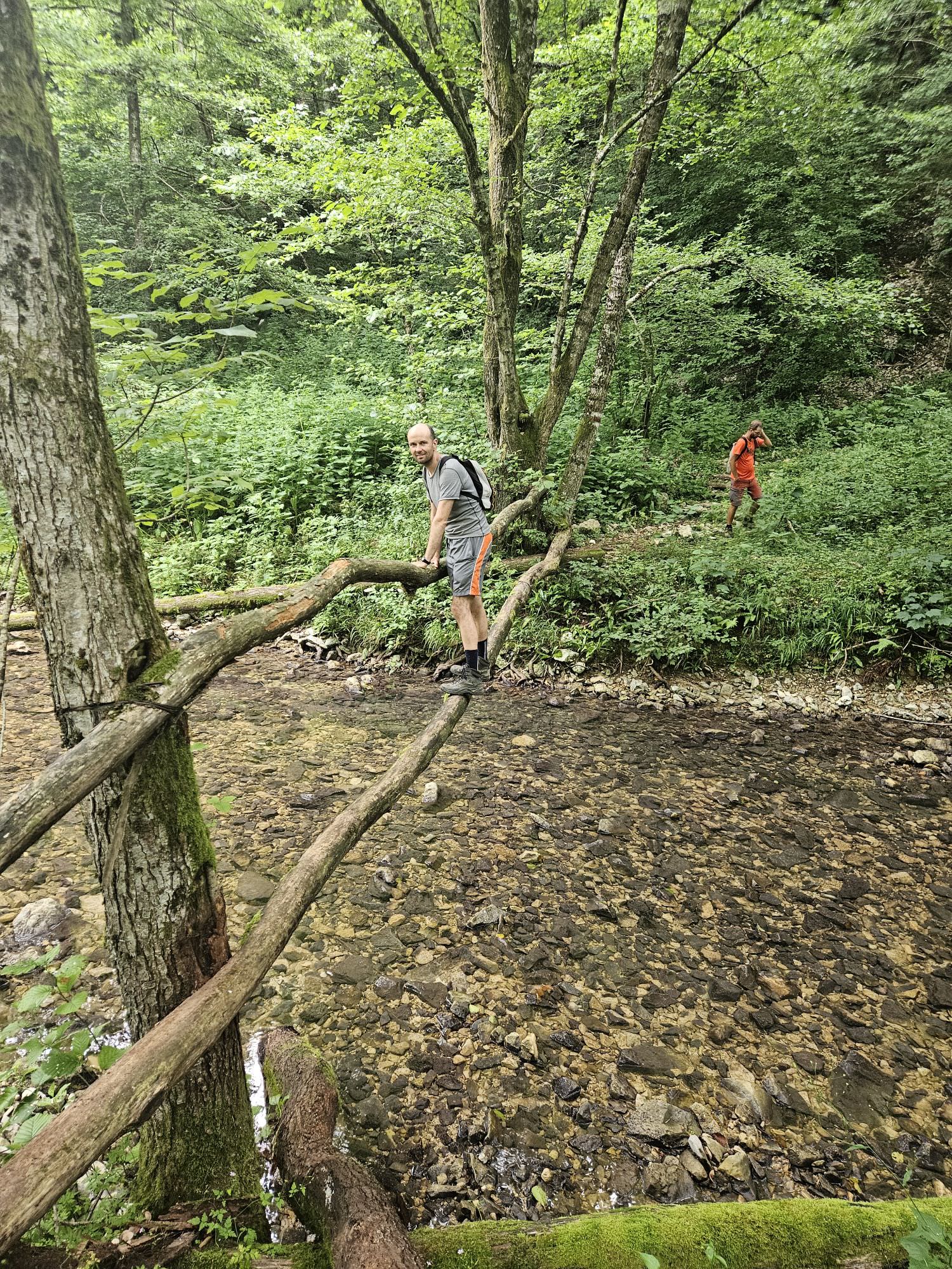 Trunk bridge