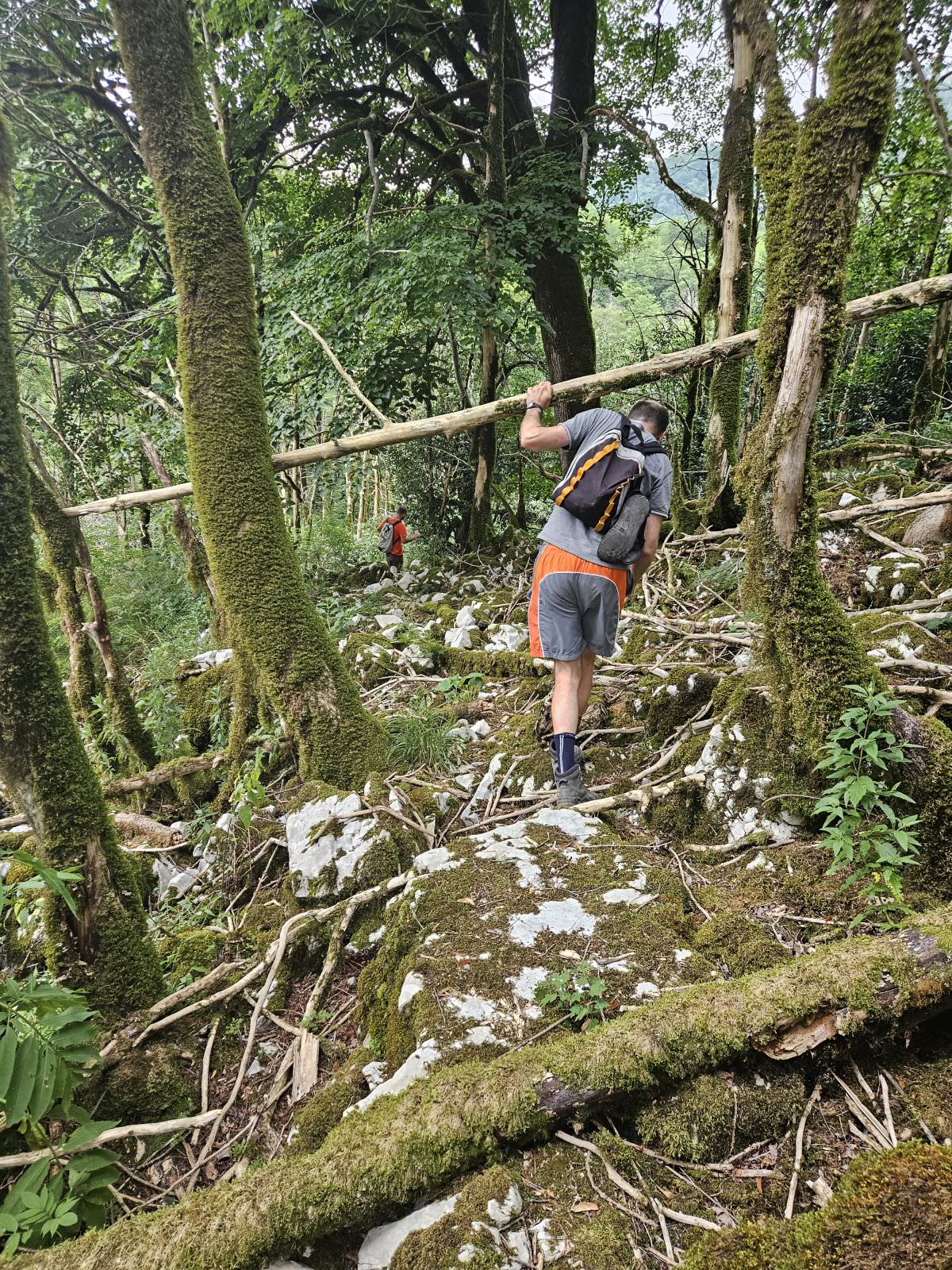 On the trail