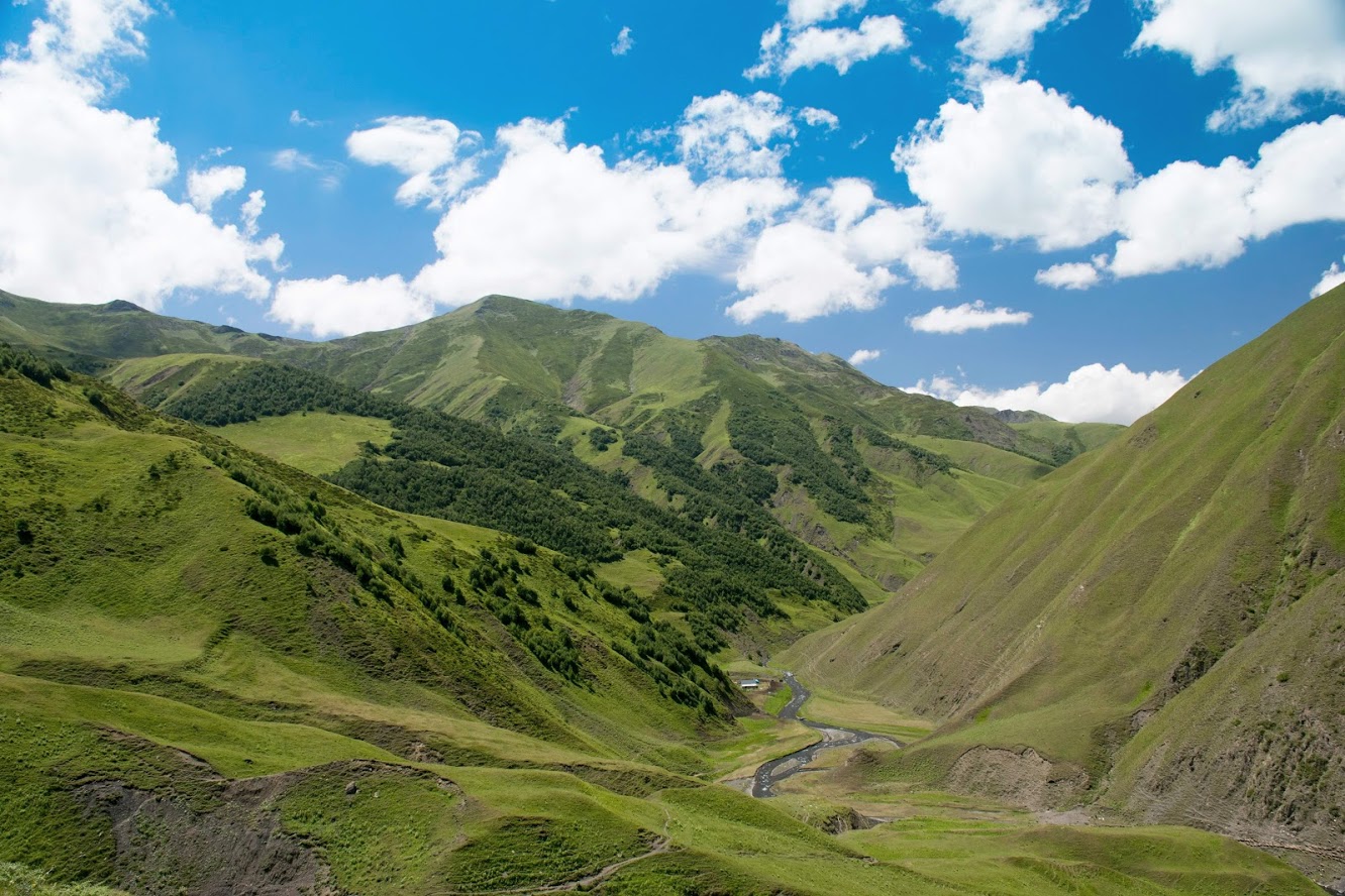 Looking back at the Alazanistavi cheese farm