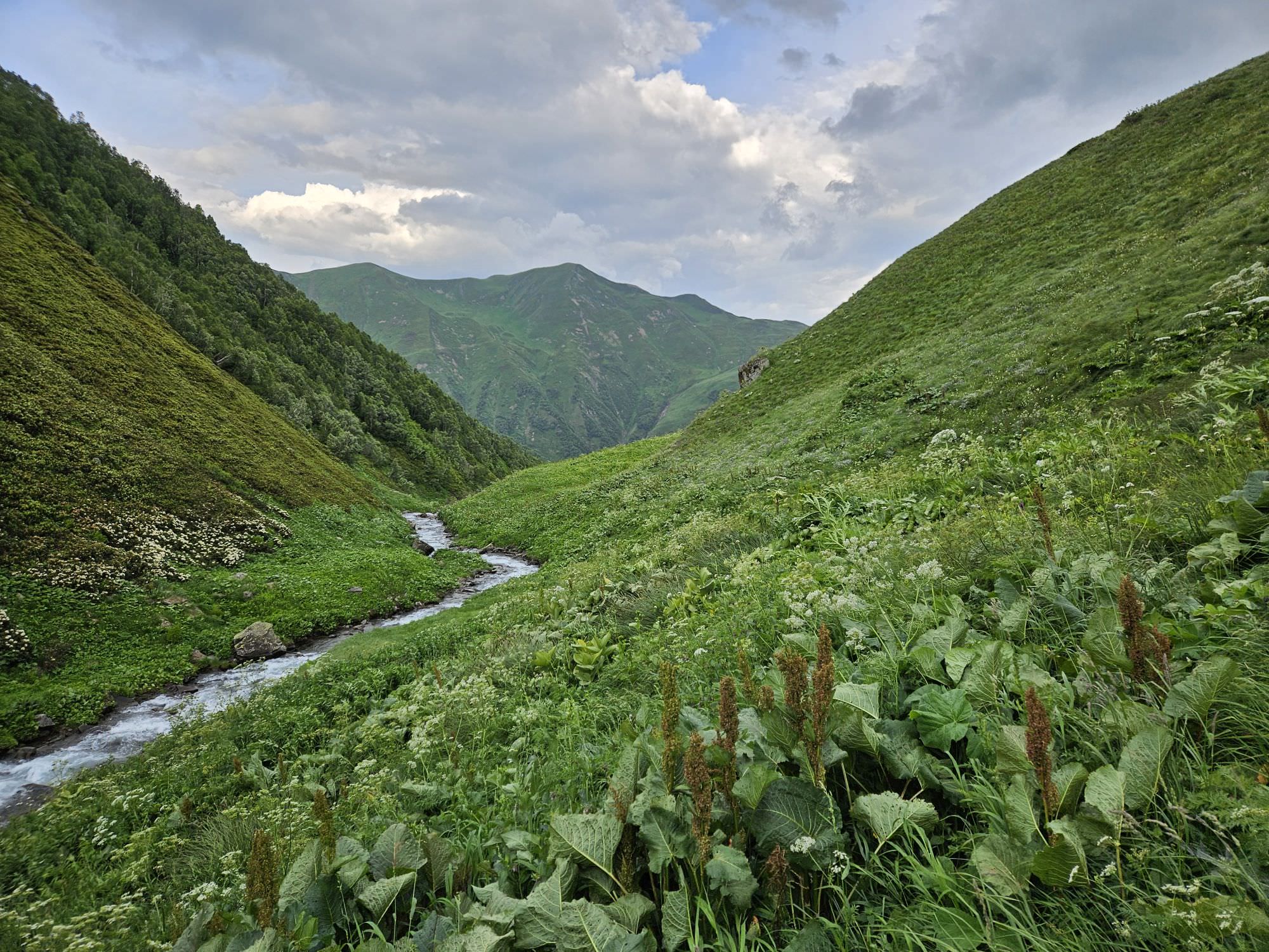 Kvishok valley gets more narrow towards its mouth