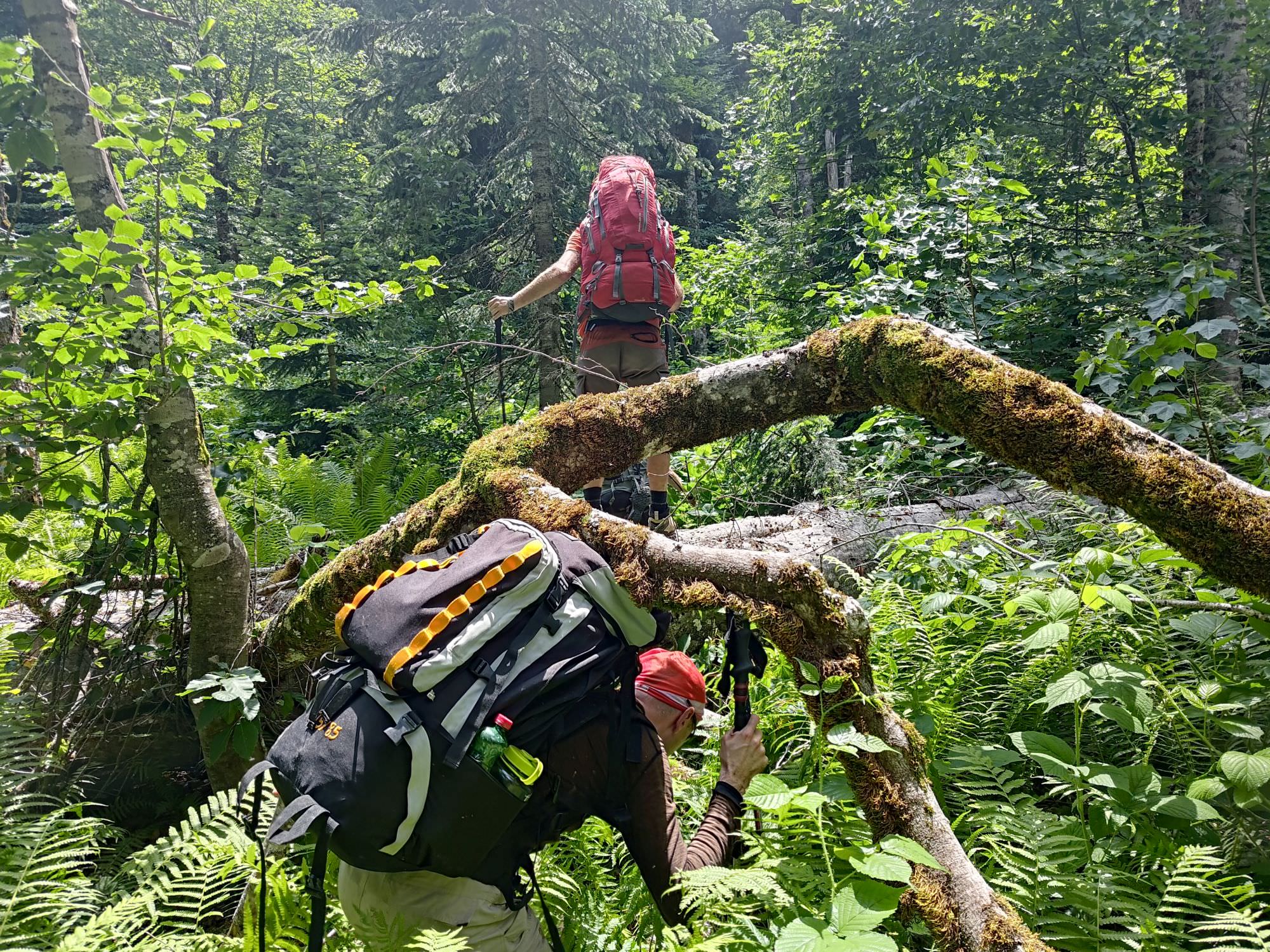 The terrain at the bottom of the valley